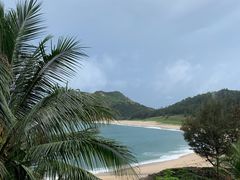 -广东惠东海龟国家级自然保护区