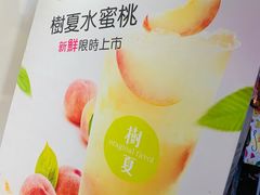 -树夏(建设路店)