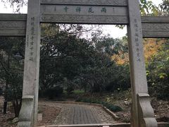 -雨花胜境