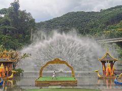 -西双版纳原始森林公园