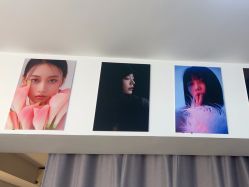 -橘子·彩虹摄影(世纪大道店)