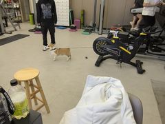 -琪航健身工作室(杨高南路地铁站店)