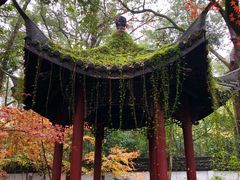 -浙江医院(灵隐院区)