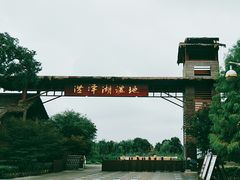 -泗洪洪泽湖湿地景区