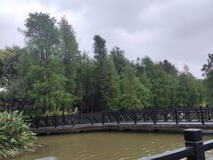 -海珠湖公园