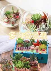 -1027活动策划·创意求婚·宴会派对