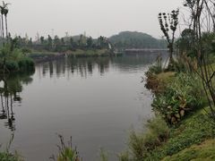 -枫香湖儿童公园