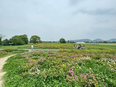 -良渚古城遗址公园