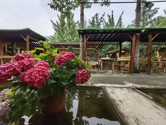 -源泉冷水鱼庄(小鱼洞店)