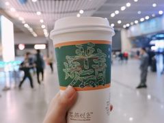 筝筝纸鸢-茶颜悦色(高铁南站店)