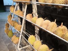 -都念榴莲·城市榴莲