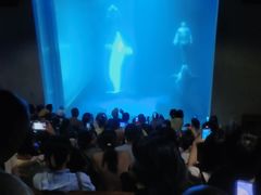 -大连圣亚海洋世界