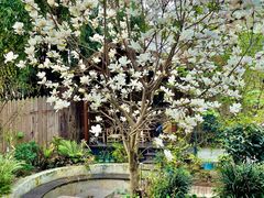 -三圣花乡旅游区