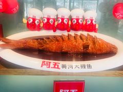 -阿五黄河大鲤鱼(英协路店)
