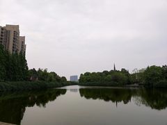 -成都南湖公园