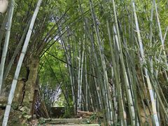 -苏家围·东江画廊旅游景区