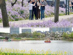 -杭州湾海上花田景区