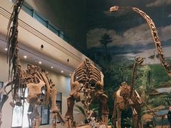 -自贡恐龙博物馆