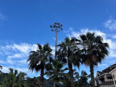 -重庆海昌加勒比海水世界