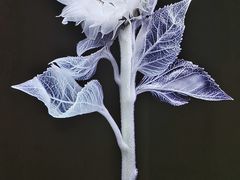 -时代美术馆-成都馆