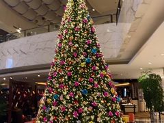 -大连富丽华大酒店