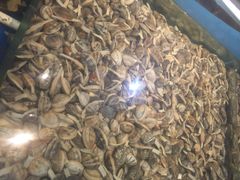 老虎滩大连海鲜烧烤-老虎滩大连海鲜烧烤(建邺云锦路总店)