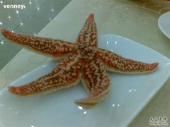 海星-海岛渔村大酒店(云霄路店)