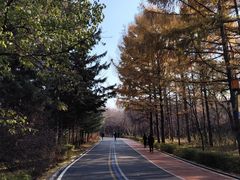 -长春市南湖公园