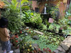 -园林美食城·本土农家菜(杨和镇店)