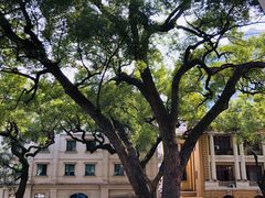 -星巴克臻选(广州沙面店)