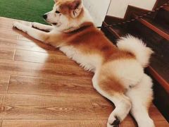 -YCHL Studios健身工作室(市二宫店)