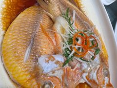 -华盛丰温州大排档(东三环南路店)