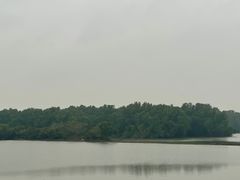 -大湾区中央湿地公园