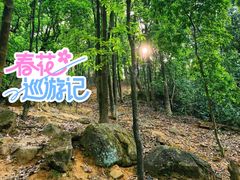 -广州市帽峰山景区