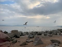 -深圳湾公园(南山区)