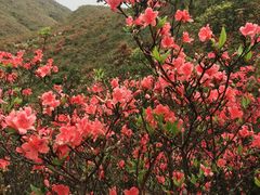 -广东天露山旅游度假区