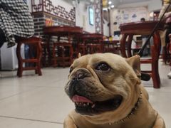 -恒信牛奶甜品(南京总店)