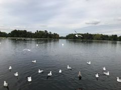 -海德公园