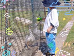 -前小桔亲子创意农场·草莓采摘·露营烧烤