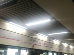 -东方体育中心(地铁站)