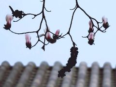 -碑林公园