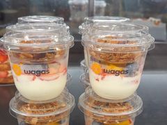 -Wagas沃歌斯(浦东机场店)
