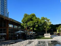 -两咖啡自助餐厅(静安香格里拉酒店)