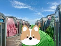 -萍乡武功山风景名胜区