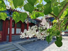 -恭王府博物馆