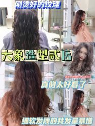 -大象造型