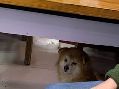 -金太粽(上海弄堂第一粽店)