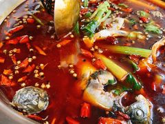 邮亭鲫鱼-曾老幺鱼庄(龙华商厦店)