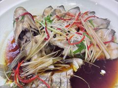 -WILDS 野有食(碧坞店)