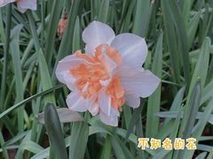 -忠山公园